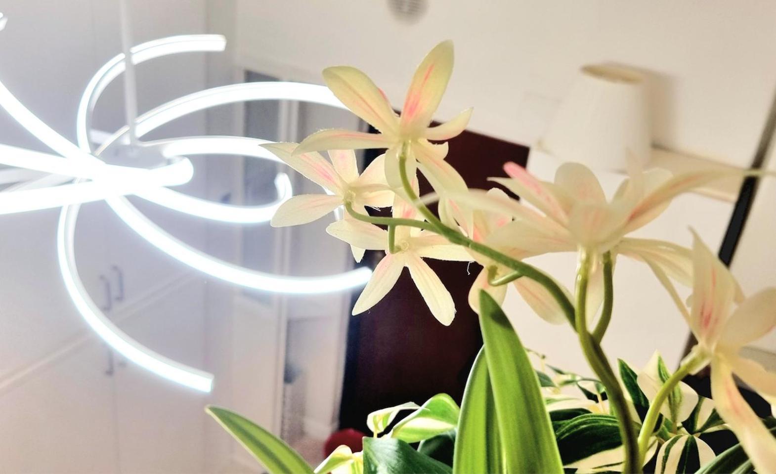 Isola Brera Duomo - Antica Atmosfera - Lovable Cozy Apartment Milano Ngoại thất bức ảnh
