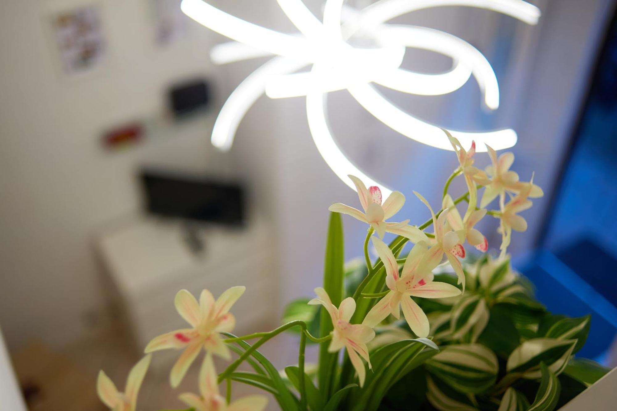 Isola Brera Duomo - Antica Atmosfera - Lovable Cozy Apartment Milano Ngoại thất bức ảnh