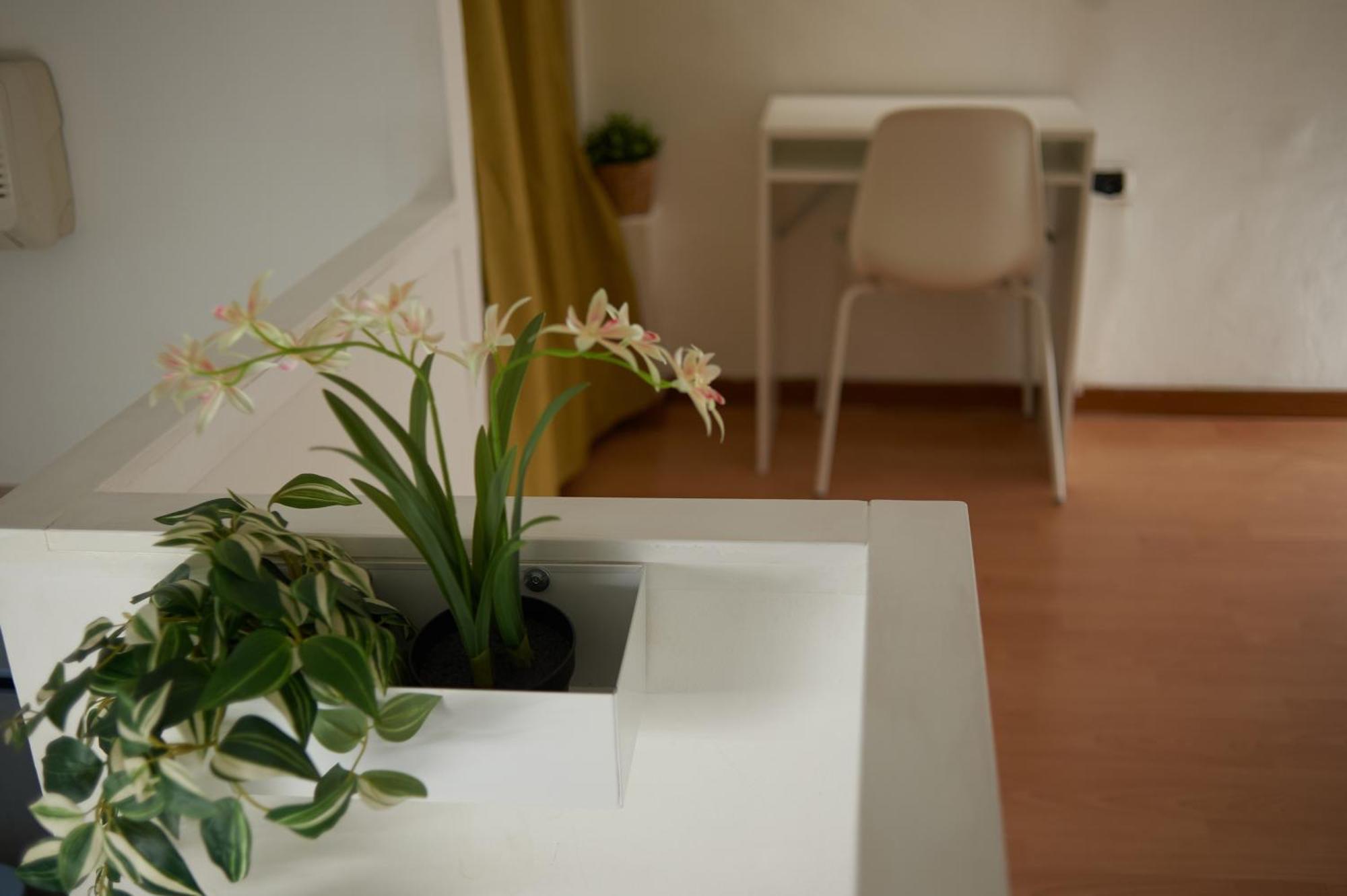 Isola Brera Duomo - Antica Atmosfera - Lovable Cozy Apartment Milano Ngoại thất bức ảnh